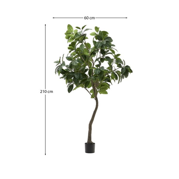 Umelý fikus (výška 210 cm) Ficus – Kave Home-image-4