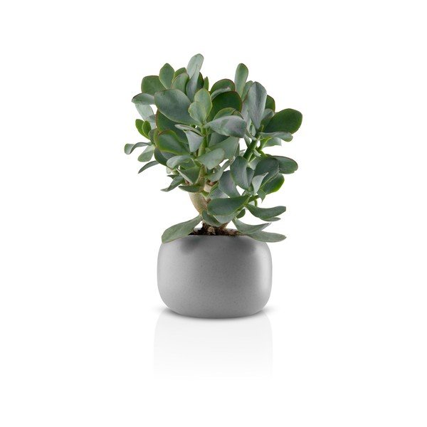 Sivý keramický kvetináč Eva Solo Stone, 16 cm-image-2