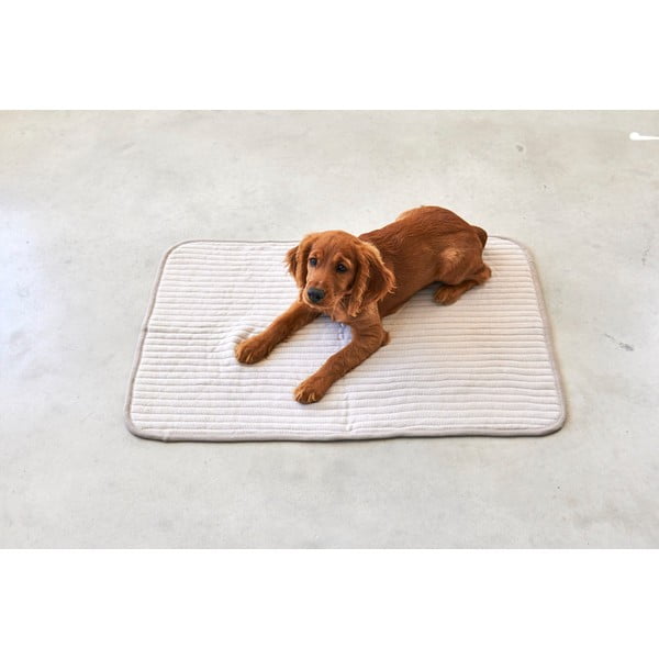 Béžová bavlnená deka pre psa 90x120 cm Onda Greige L – MiaCara-image-1