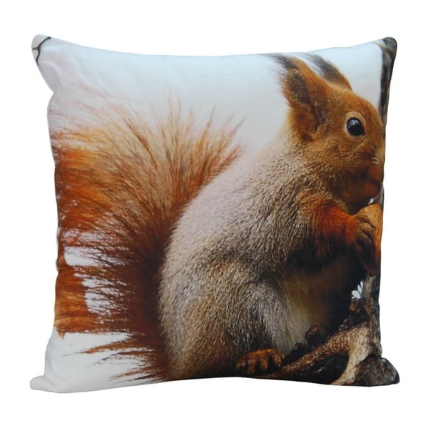 Vankúš Squirrel Ted, 45x45 cm