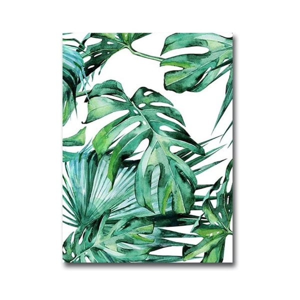 Obraz Wallity Jungle, 28 × 38 cm