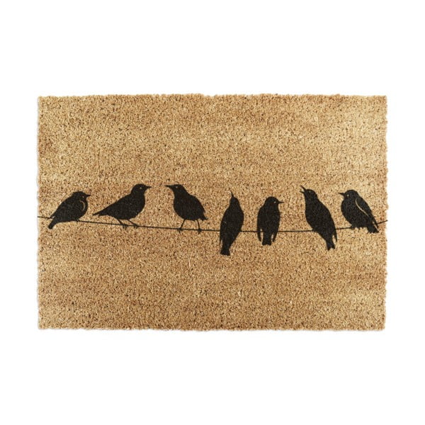 Rohožka z kokosového vlákna 40x60 cm Birds On a Wire – Artsy Doormats