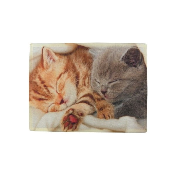 Prestieranie Mars&More Kittens Sleeping on Blanket, 40 x 30 cm