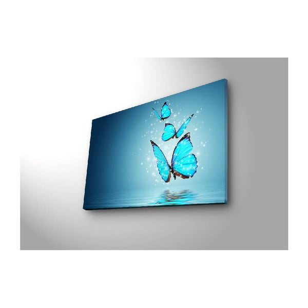 Podsvietený obraz Robin, 70 × 45 cm