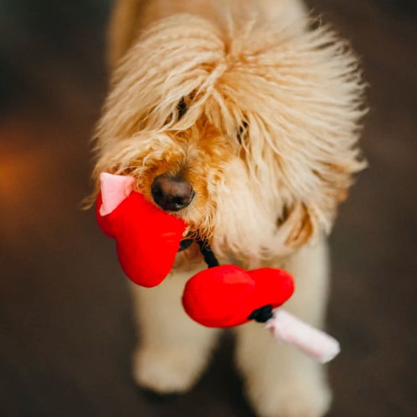 Hračka pre psa Srdce – P.L.A.Y.-image-1