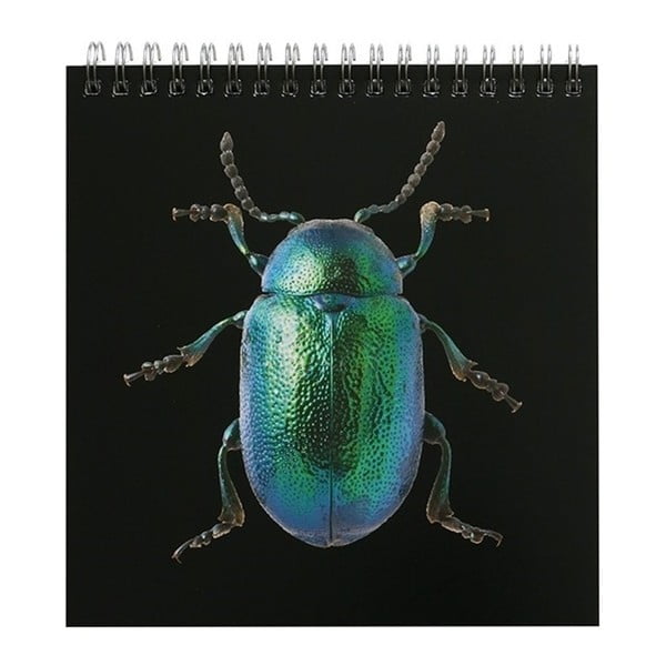 Stolový kalendár na rok 2018 Portico Designs Natural History Museum Beetles & Bugs
