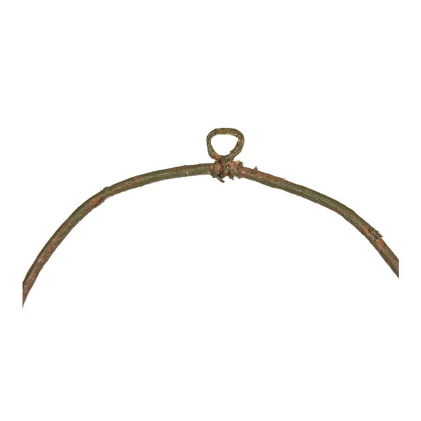 Veniec Magnolia – Ixia-image-1