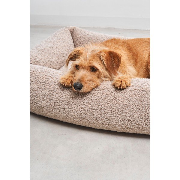 Béžový pelech pre psa z materiálu buklé 71x91 cm Senso Greige M – MiaCara-image-3