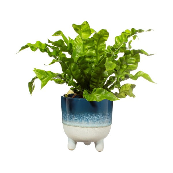 Modrý kvetináč Sass & Belle Bohemian Home Mojave, ø 11,7 cm-image-2