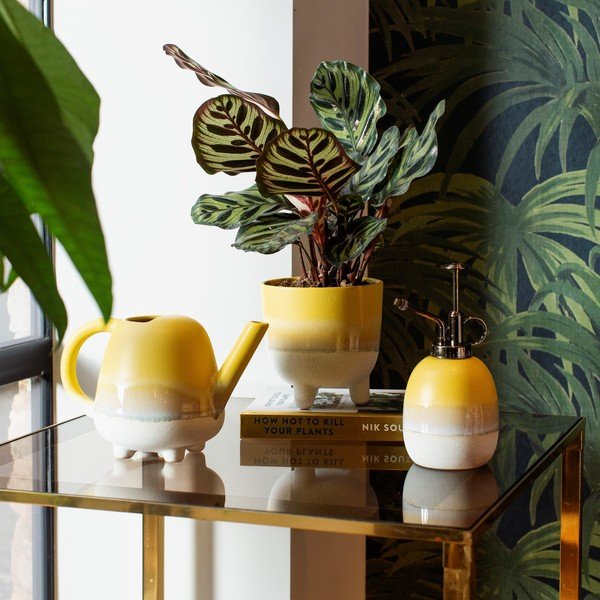 Žltý kvetináč Sass & Belle Bohemian Home Mojave, ø 11,7 cm-image-1