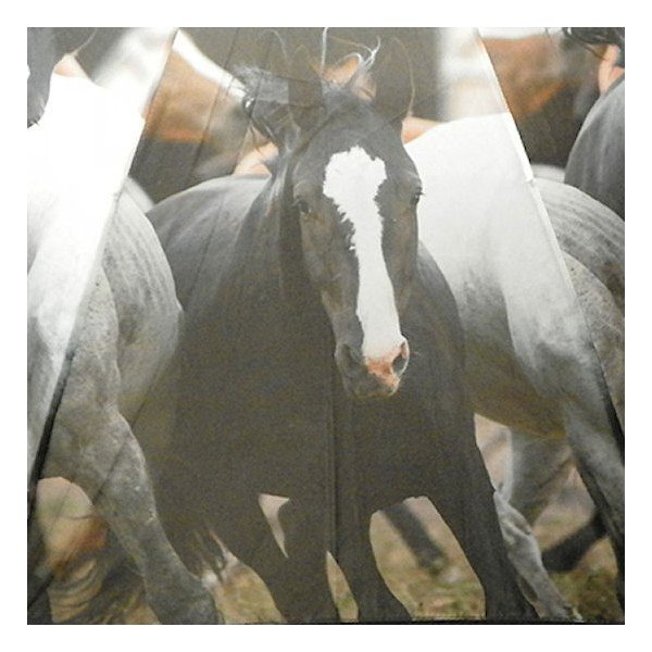 Dáždnik Running Horses-image-2