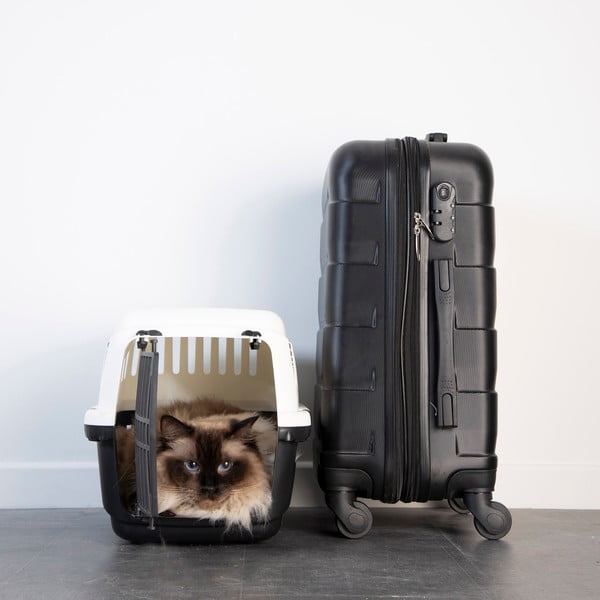 Prepravka pre domáceho miláčika 31x46 cm – Love Story-image-1