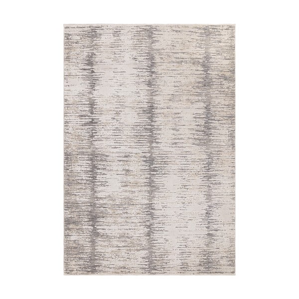 Koberec 200x300 cm Anders Grey – Asiatic Carpets