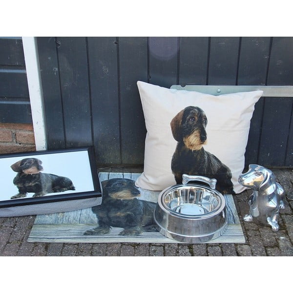 Vankúš Mars&More Dog 50 x 50 cm-image-2