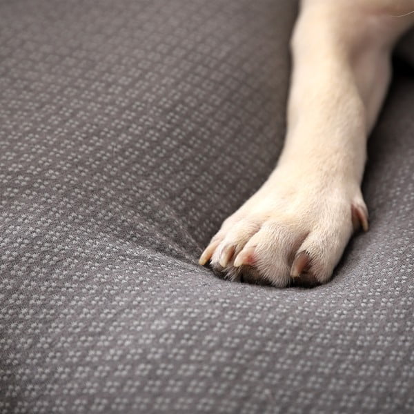 Svetlosivý pelech pre psa 60x48 cm Graphene – Love Story-image-3