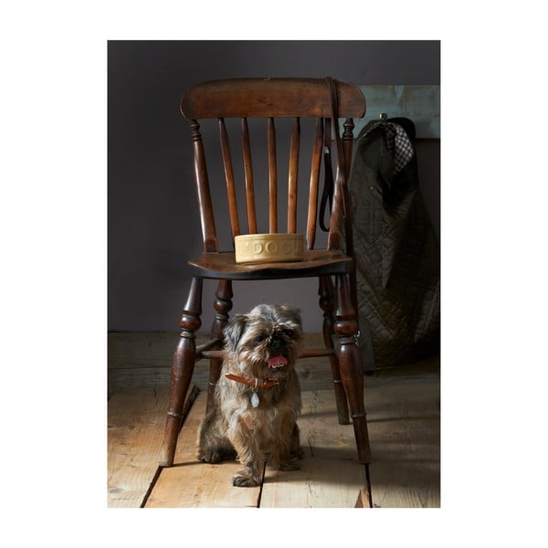 Kameninová miska pre psov Mason Cash Dog Cane, ø 25 cm-image-3