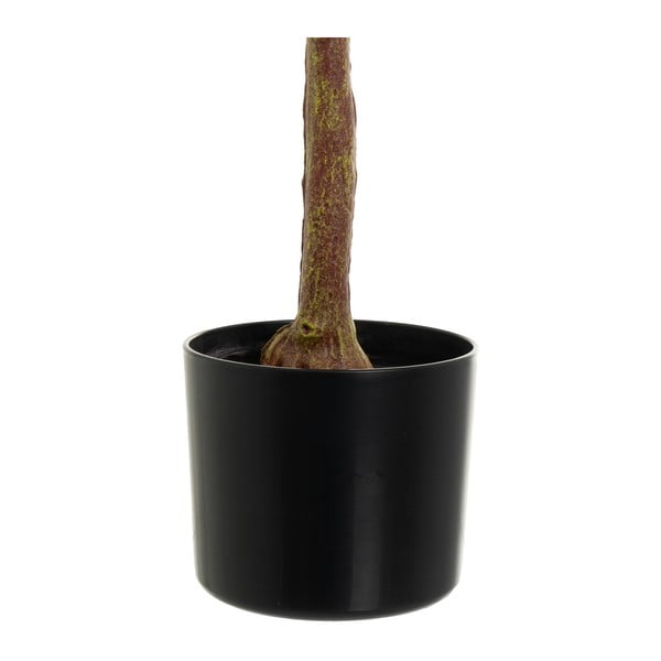 Umelý kvet Eucalyptus – Casa Selección-image-3