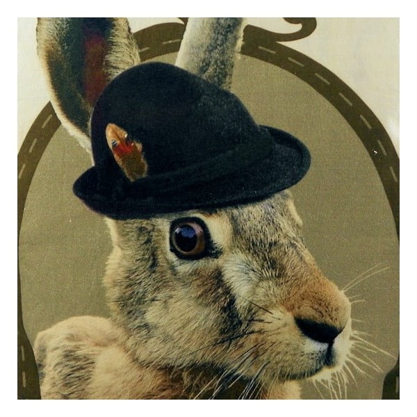 Vankúš Alm Hare 50x50 cm-image-1