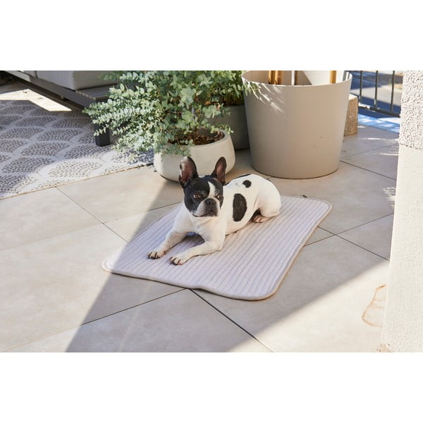 Sivá bavlnená deka pre psa 90x120 cm Onda Pebble L – MiaCara-image-2