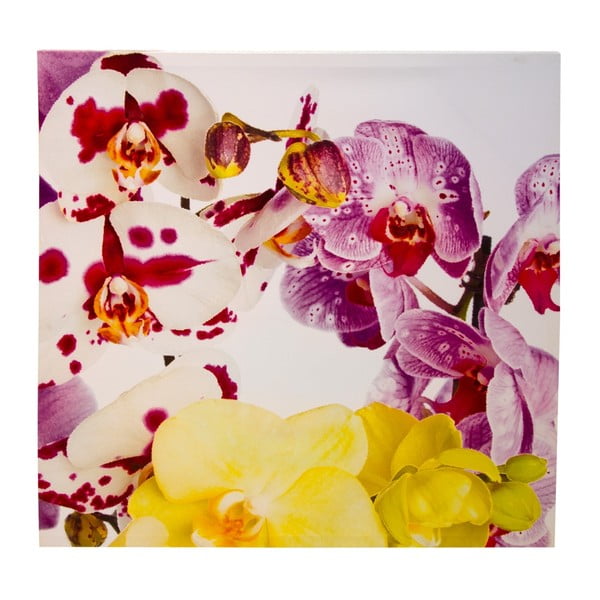 Obraz na plátne 8mood Orchid, 90 x 90 cm
