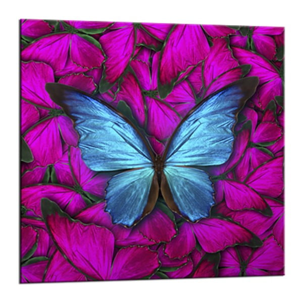 Obraz Styler Glasspik Red Butterfly, 20 × 20 cm