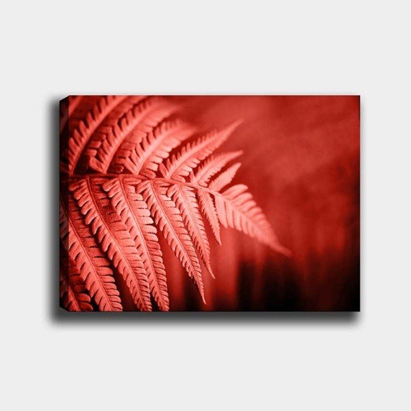 Nástenný obraz na plátne Tablo Center Palm, 40 × 60 cm