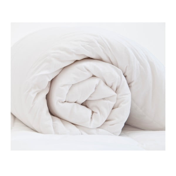 Paplón z mikrovlákna Happy Friday Basic, 100 x 120 cm-image-1