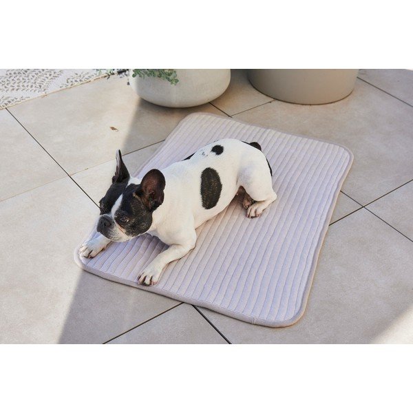 Sivá bavlnená deka pre psa 75x100 cm Onda Pebble M – MiaCara-image-3