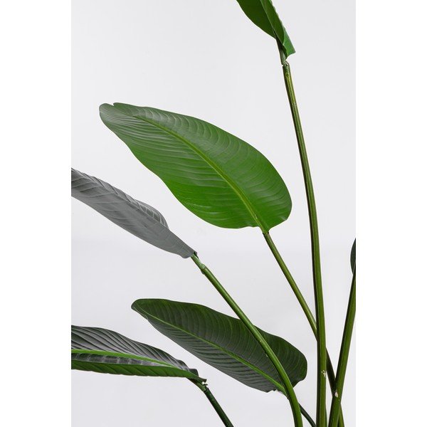 Umelý kvet (výška  185 cm) Sterilizia – Bizzotto-image-1