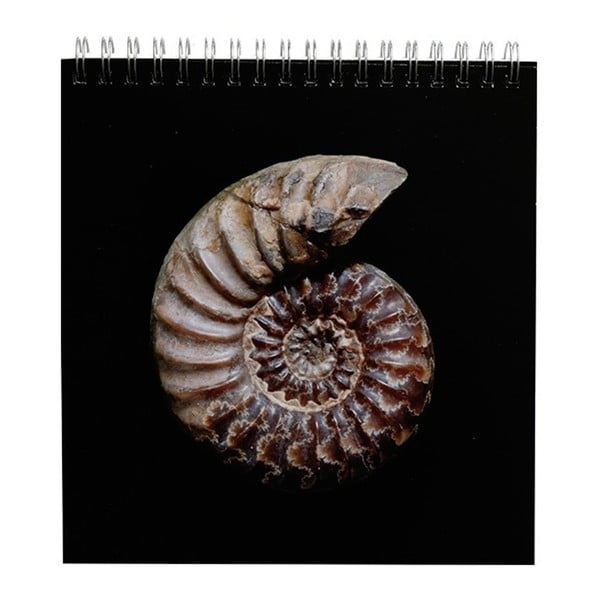 Stolový kalendár na rok 2018 Portico Designs Natural History Museum Fossils
