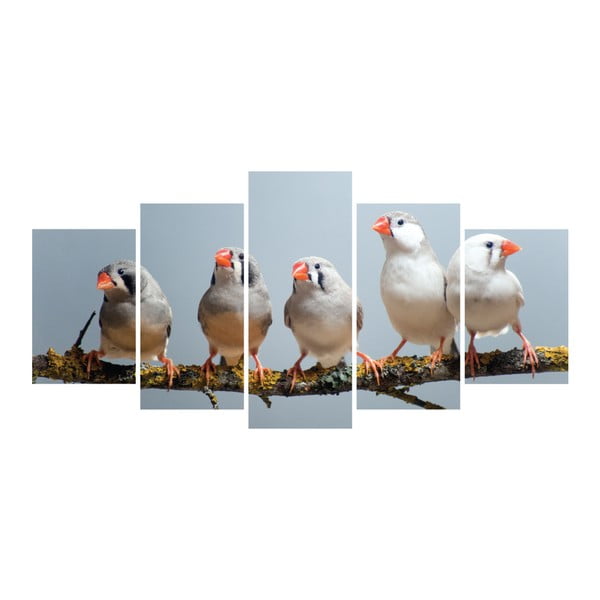Viacdielny obraz La Maison Des Couleurs Five Birds