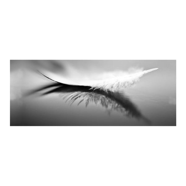 Sklenený obraz DecoMalta Feather, 125 x 50 cm
