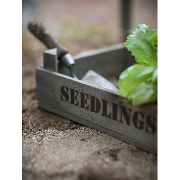 Prepravka na sadeničky zo smrekového dreva Garden Trading Seedlings-image-1