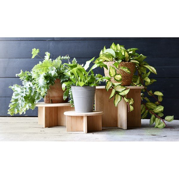 Bambusový stojan na kvety ø 25 cm (výška  19,5 cm) – Esschert Design-image-2