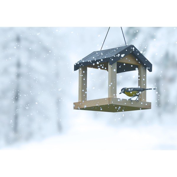 Drevené zásvesné kŕmidlo pre vtáctvo Esschert Design-image-3