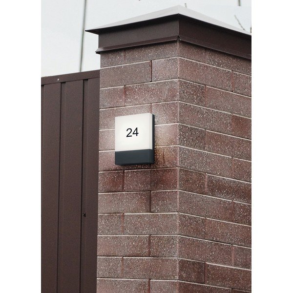 LED nástenné vonkajšie svietidlo (výška  20 cm) Pecos – Trio-image-2