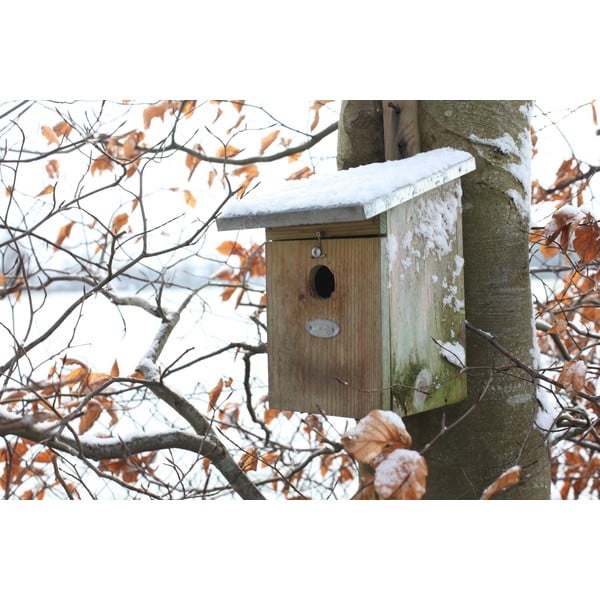 Drevená vtáčia búdka – Esschert Design-image-3