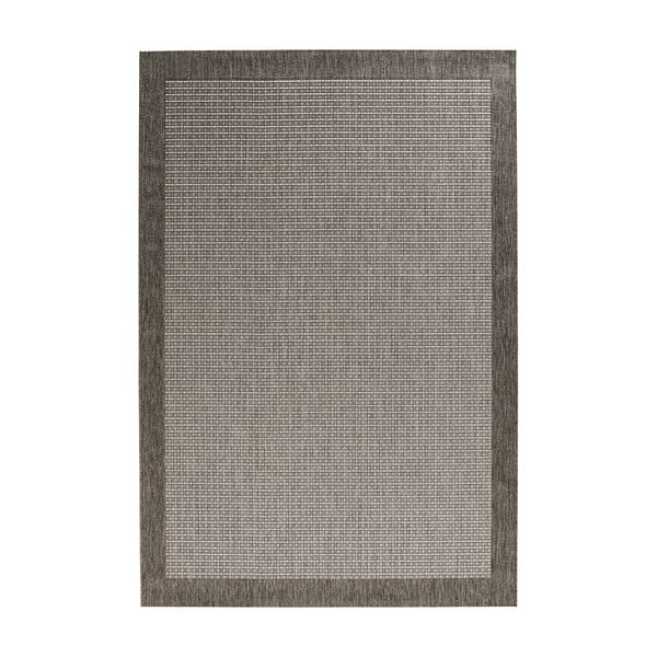 Sivý koberec 290x200 cm Simple - Hanse Home