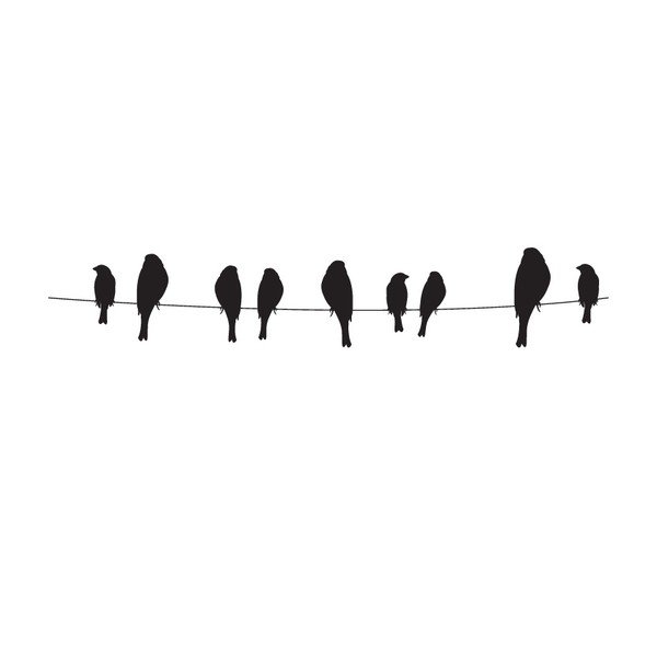 Samolepkový vešiak Birds-image-1