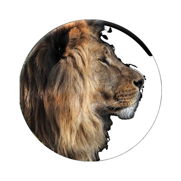 Nástenná dekorácia Styler Ring Lion, ø 70 cm