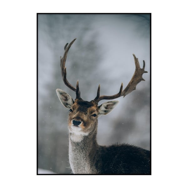 Plagát Imagioo Deer, 40 × 30 cm
