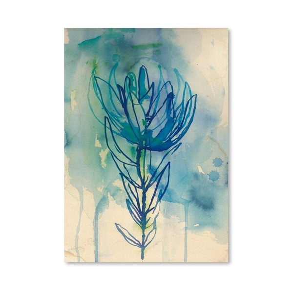 Plagát Blue Wash Protea, 30x42 cm