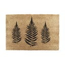 Rohožka z kokosového vlákna 40x60 cm Fern Leaf – Artsy Doormats
