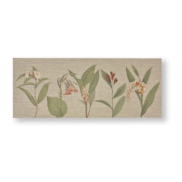 Obraz Graham & Brown Botanical Bliss, 100 × 40 cm