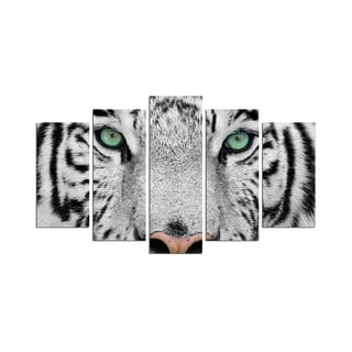 Viacdielny nástenný obraz Snow Tiger