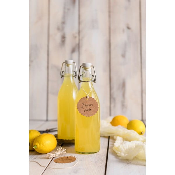 Sklenená fľaša s klipom a tesnením Dr. Oetker Swing, 520 ml-image-1