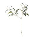 Umelý eukalyptus (výška 101 cm) – Bloomingville