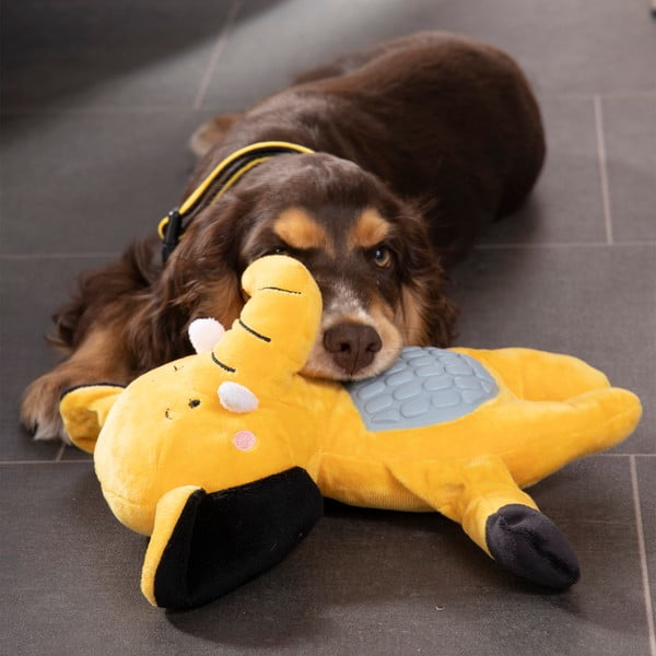 Hračka pre psa – Love Story-image-1