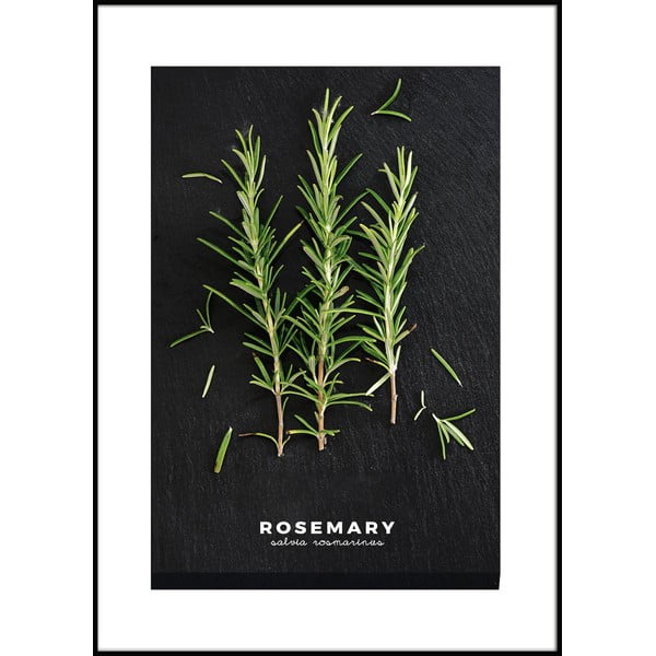 Plagát v ráme 50x70 cm Rosemary - Styler