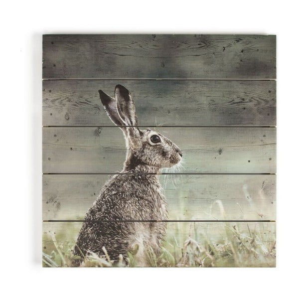 Drevený obraz Graham & Brown Hare, 50 × 50 cm
